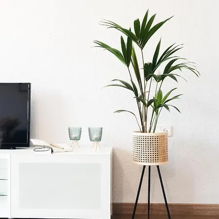 Lux&cool Catedral Apartment *